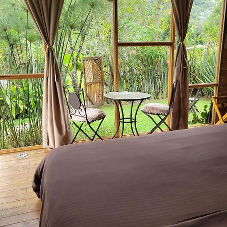 Exclusivo Cocora Con Jacuzzi Salento Quindio Villa Exterior foto